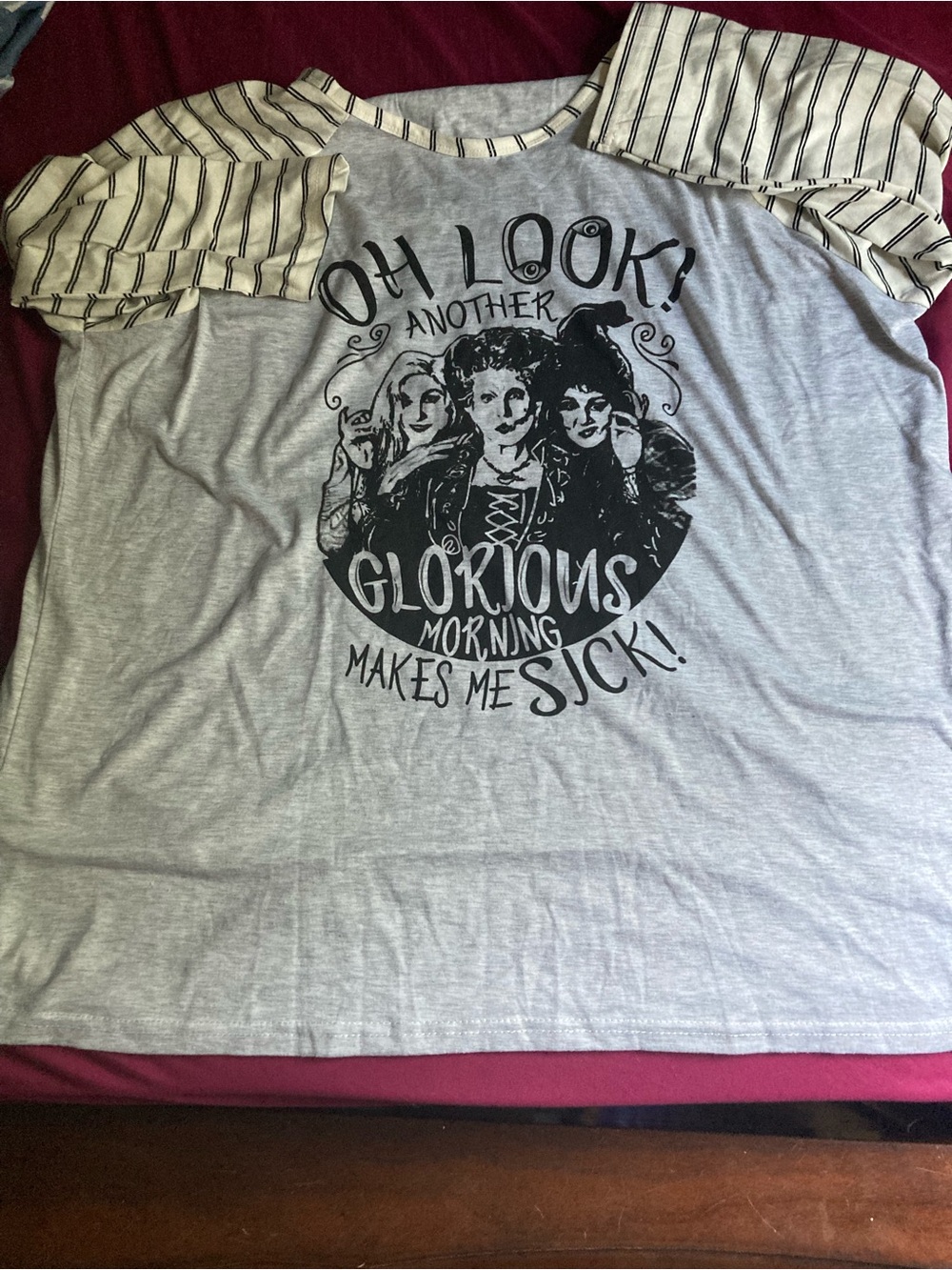 Hocus Pocus Graphic Raglan Tee - 'Oh Look! Another Glorious Morning'